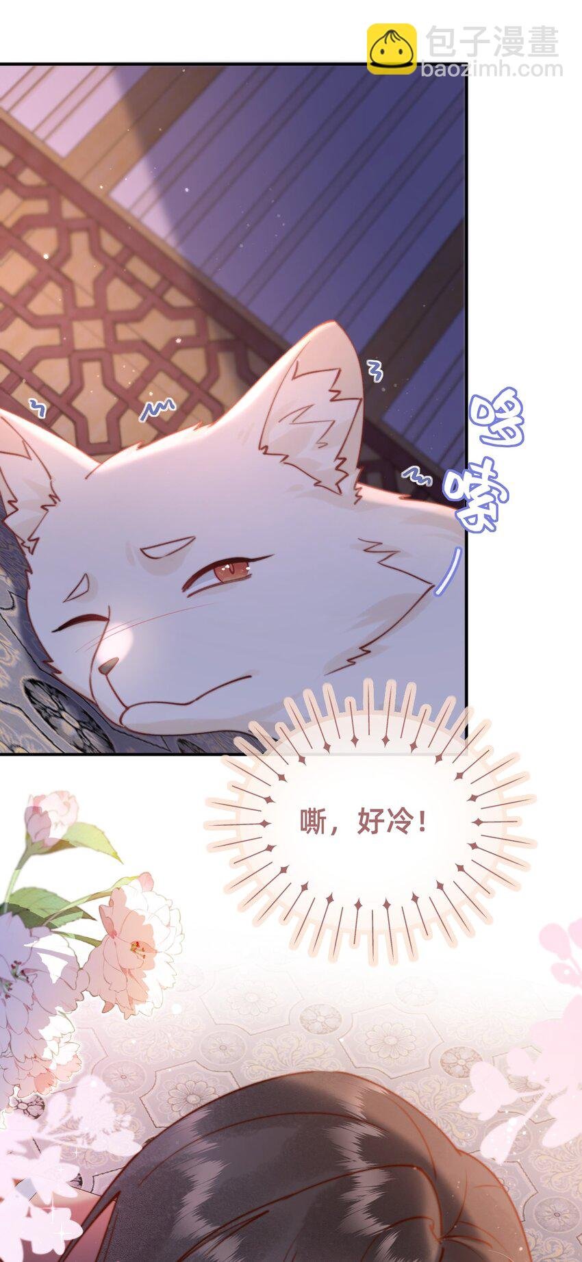 011 这只好色狐狸！