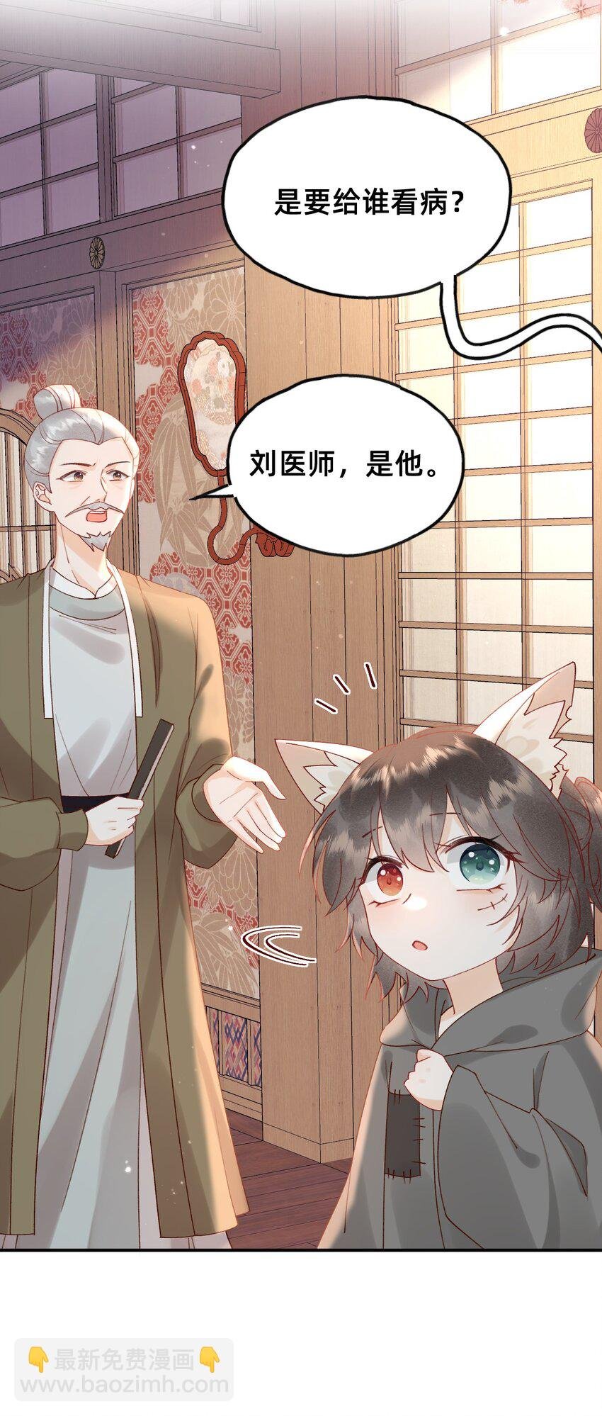 05 又捡了只狐狸