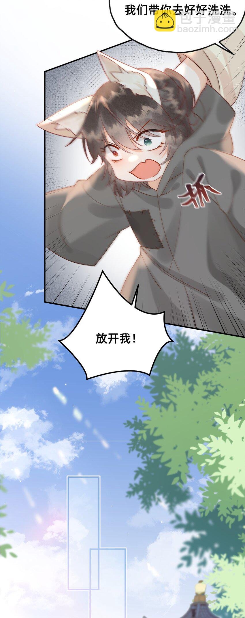 05 又捡了只狐狸
