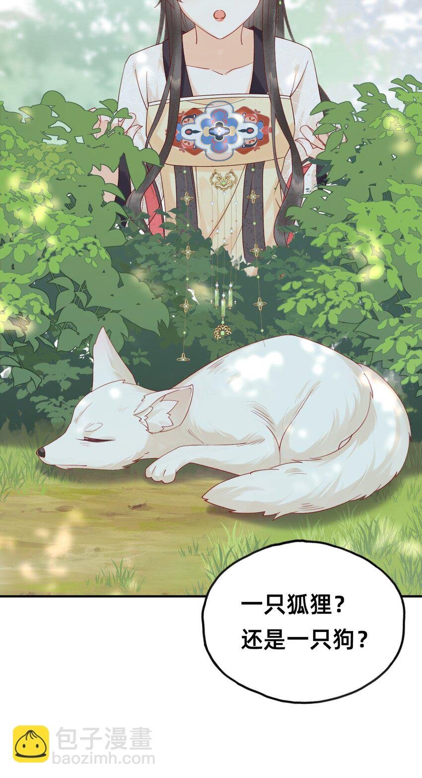 05 又捡了只狐狸