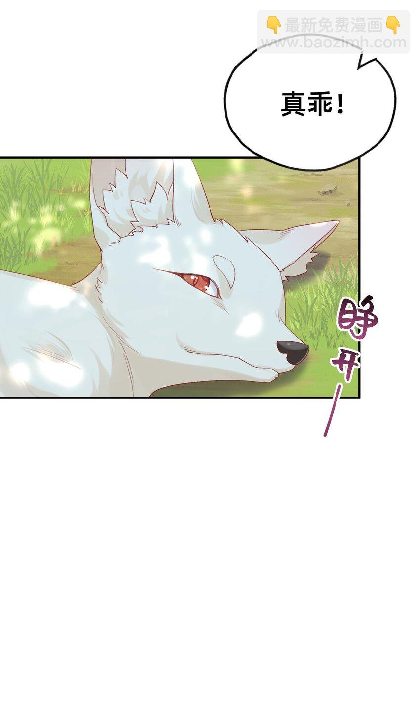 05 又捡了只狐狸
