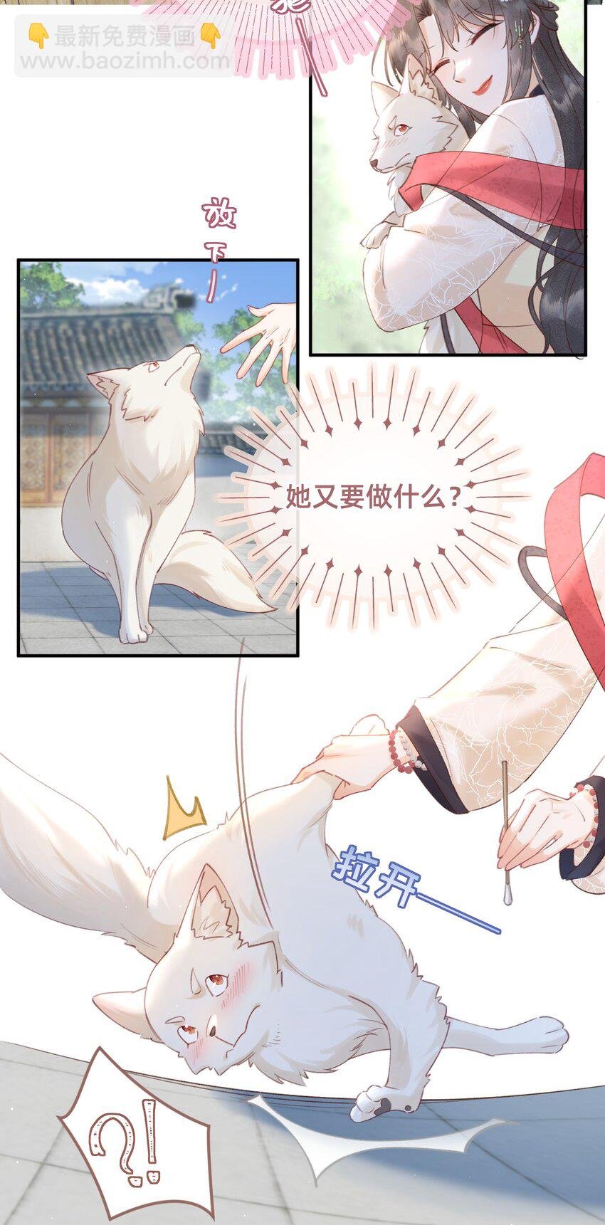 09 我讨厌这只狐狸