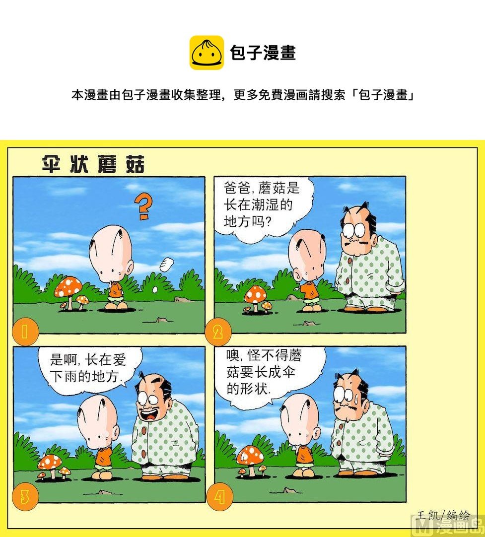 26.伞状蘑菇