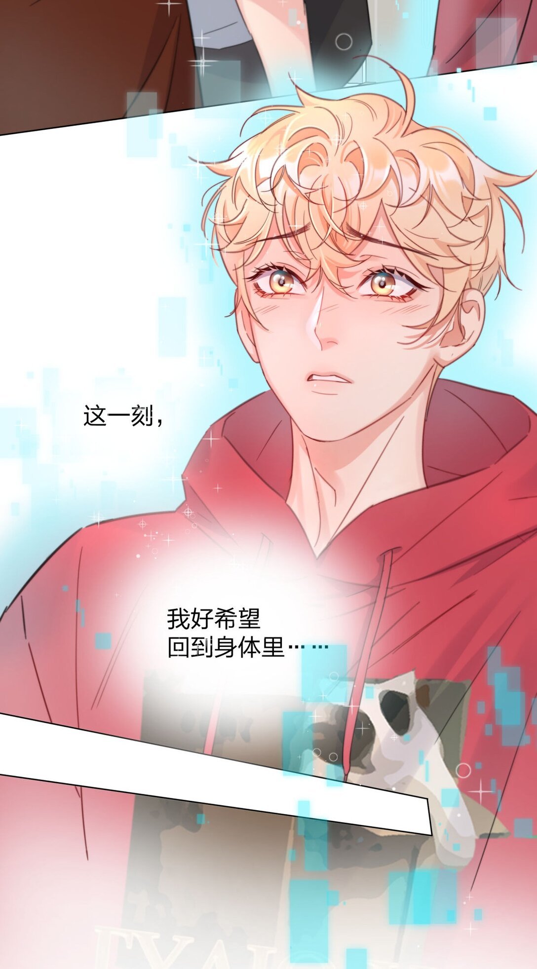 17 妈妈早就不要我了