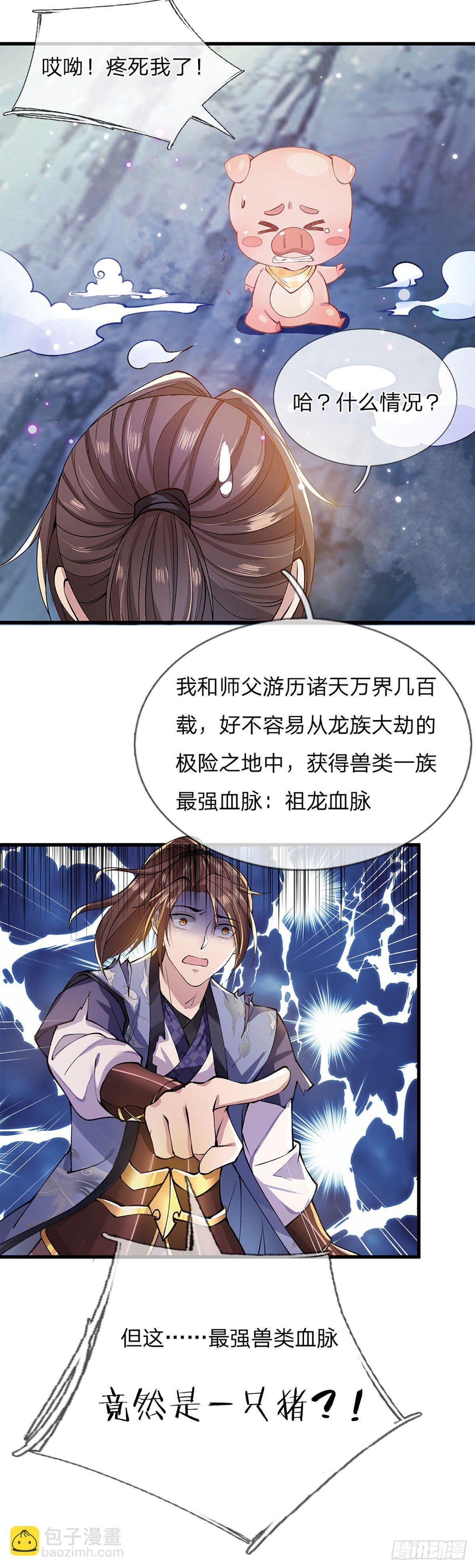 第1话 我的灵兽竟然是头猪
