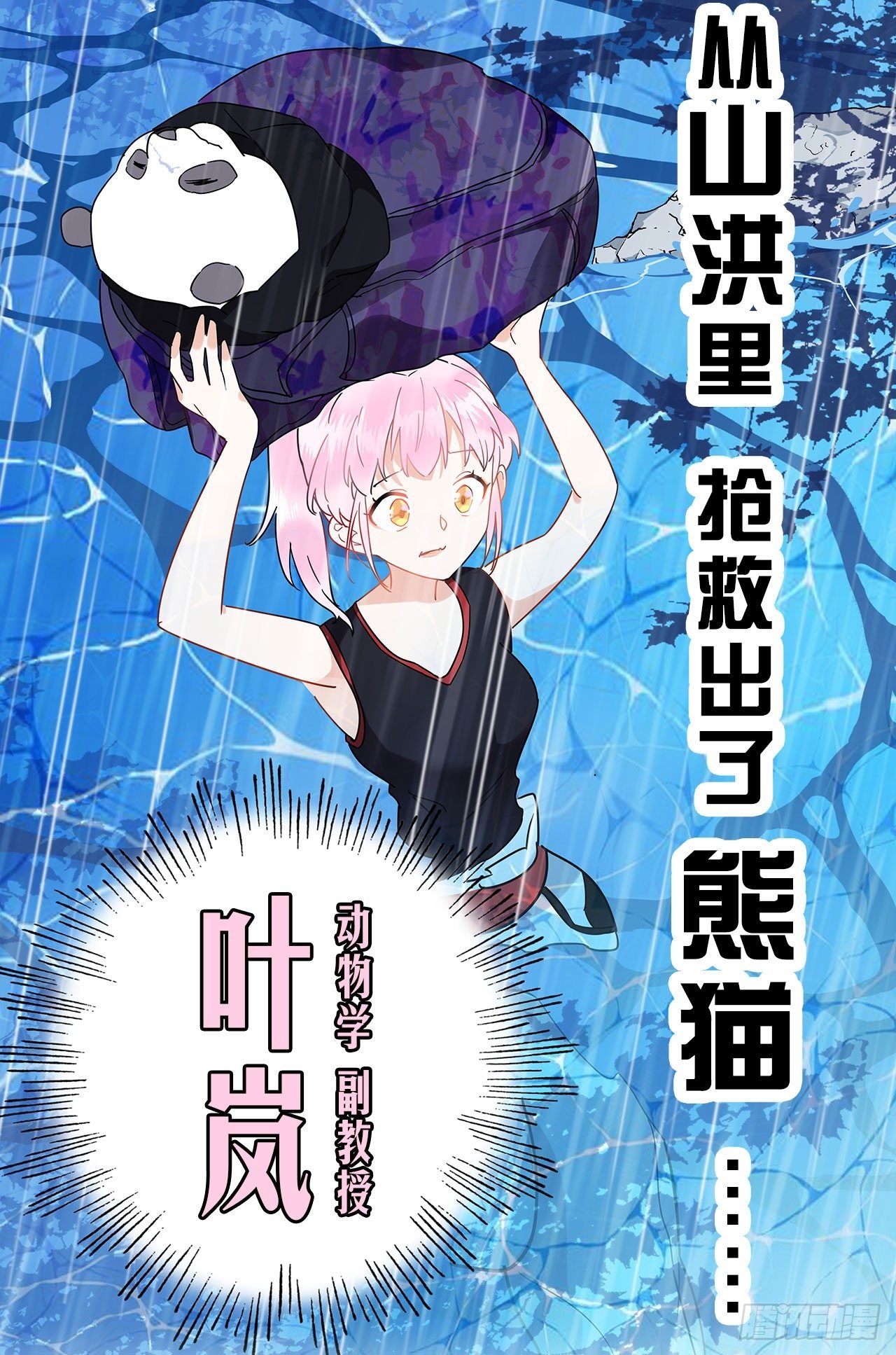 预告
