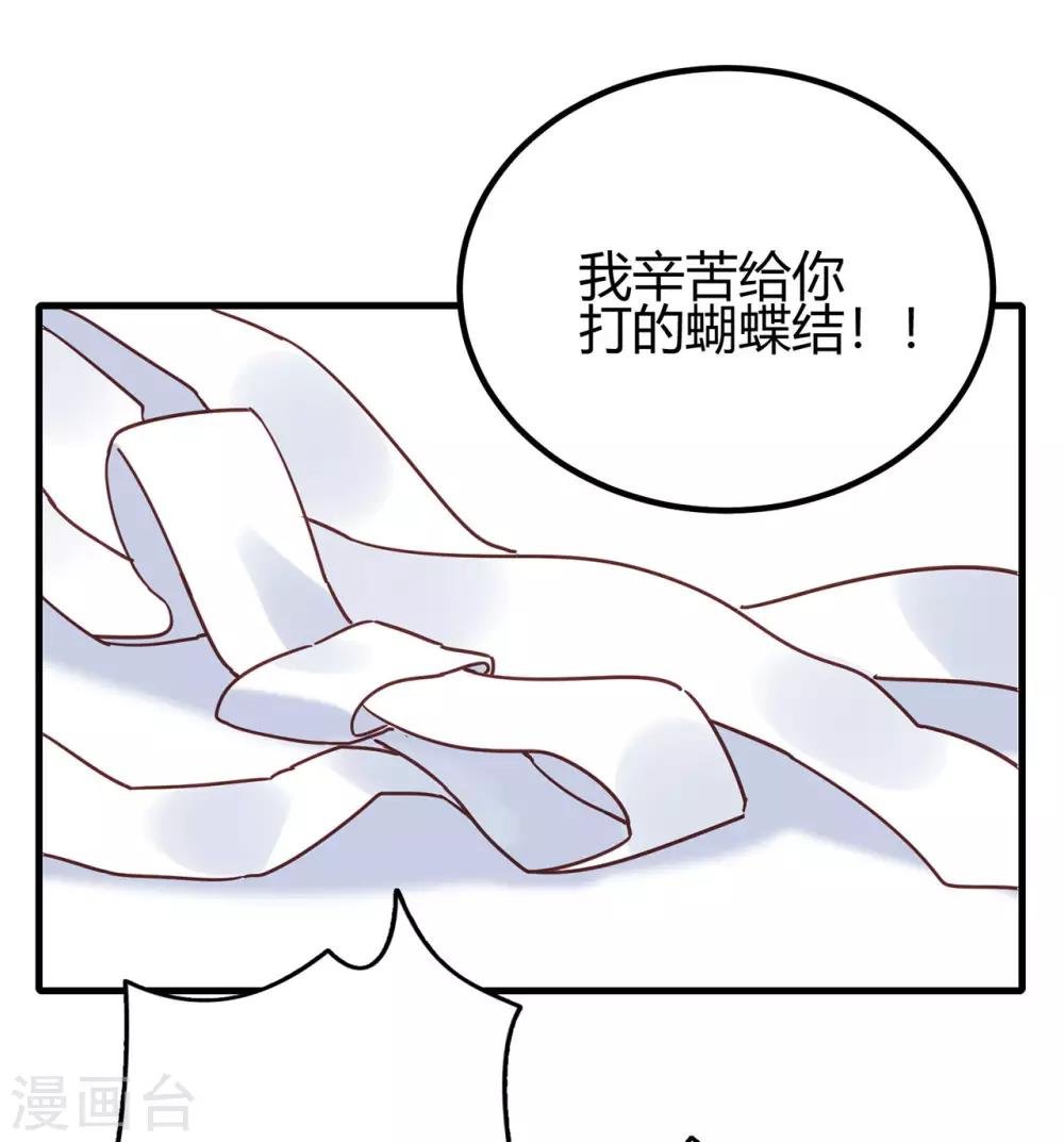 第13话 专业团队