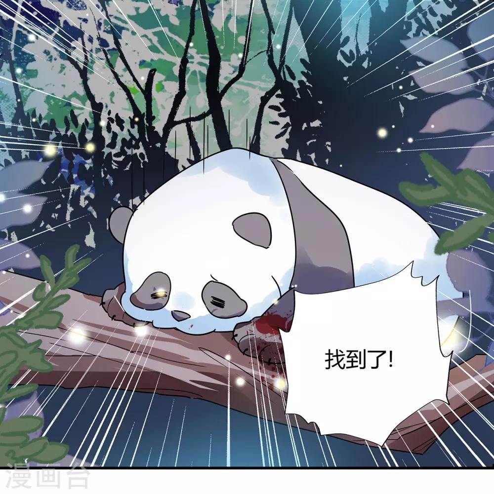 第1话 熊猫危机！