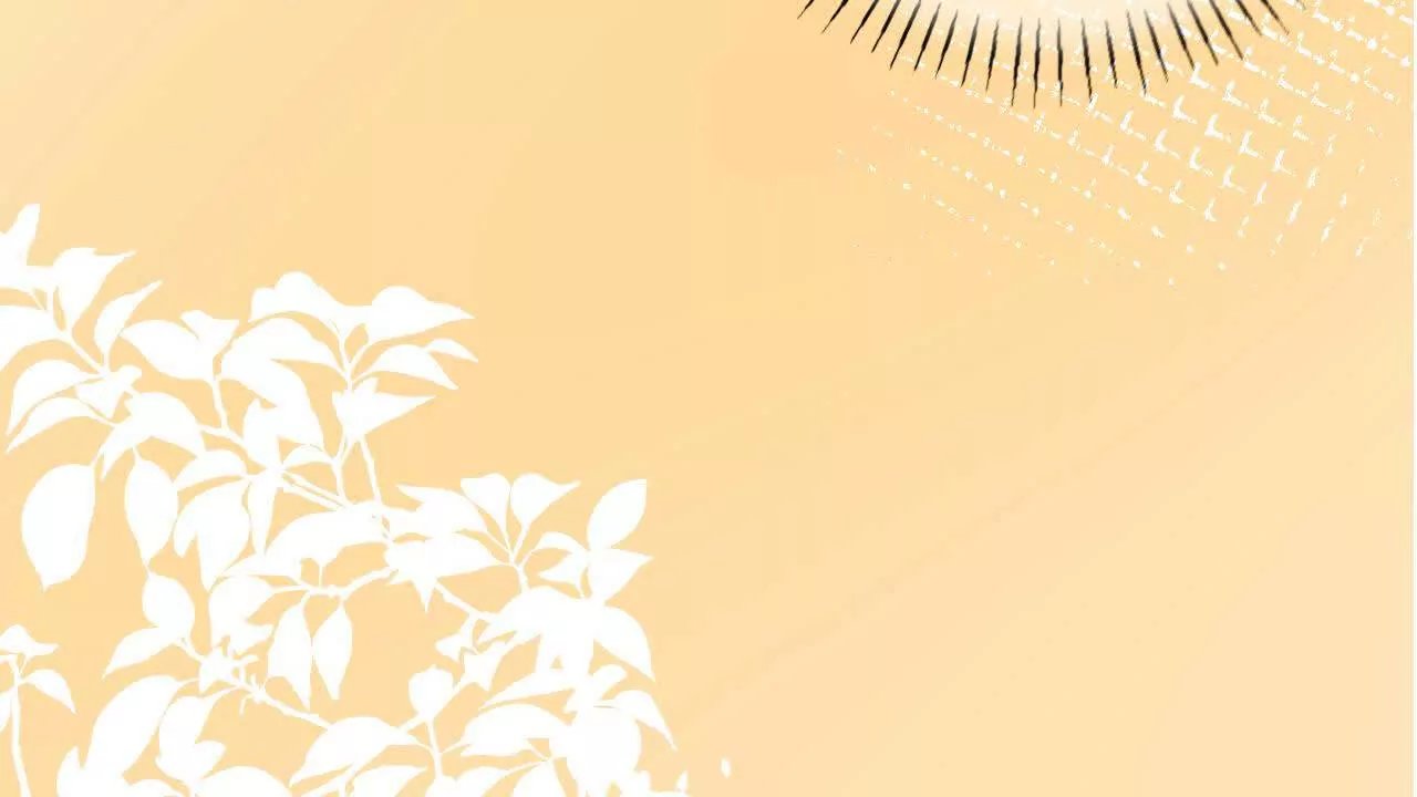 七夕快乐！