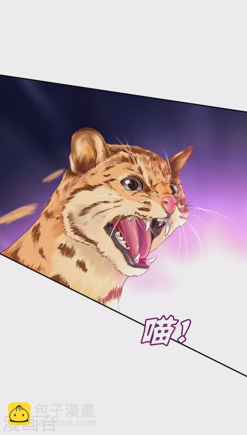 第235话 狸猫助战