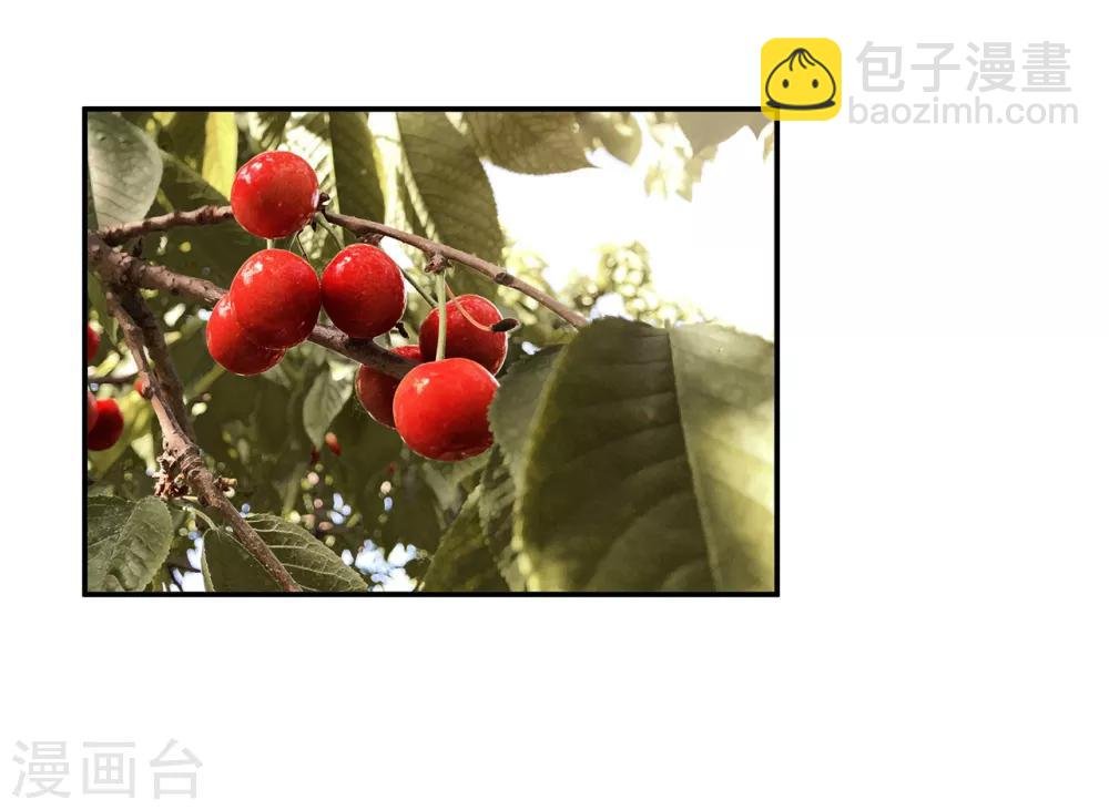 第74话 宠妻狂魔