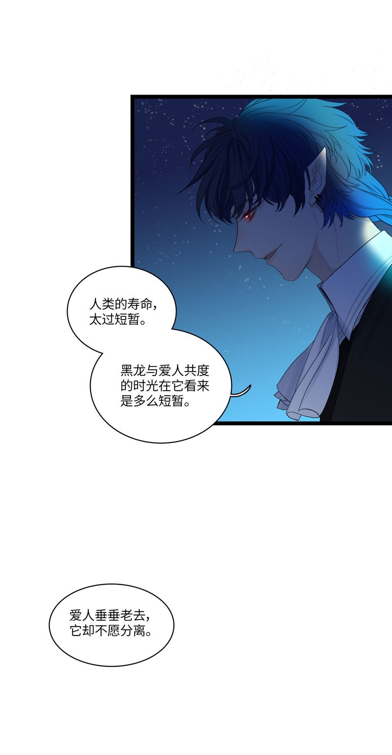 十五夜·龙与宝石【全篇完】