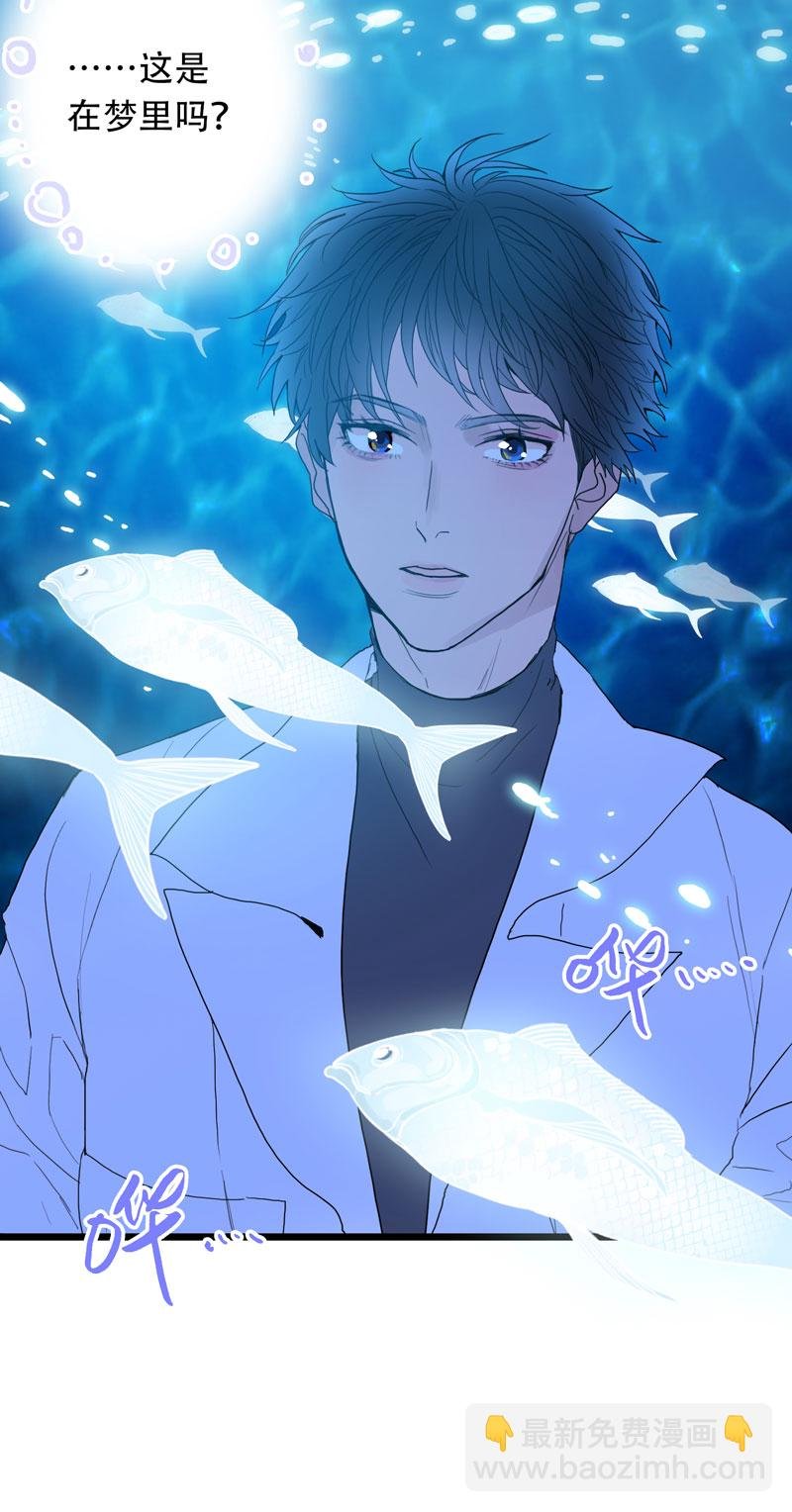 第四夜·医生的梦境