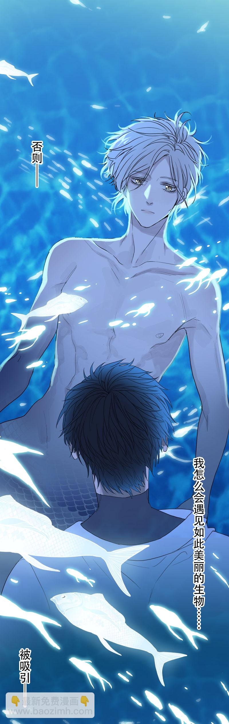 第四夜·医生的梦境