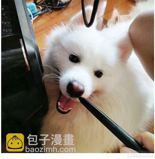 一起营救叔叔！