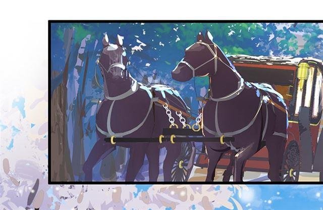 第四家族登场！
