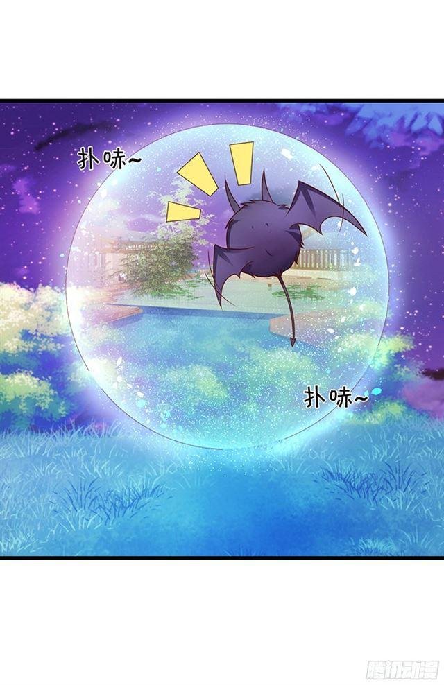 调查第四家族的秘密！