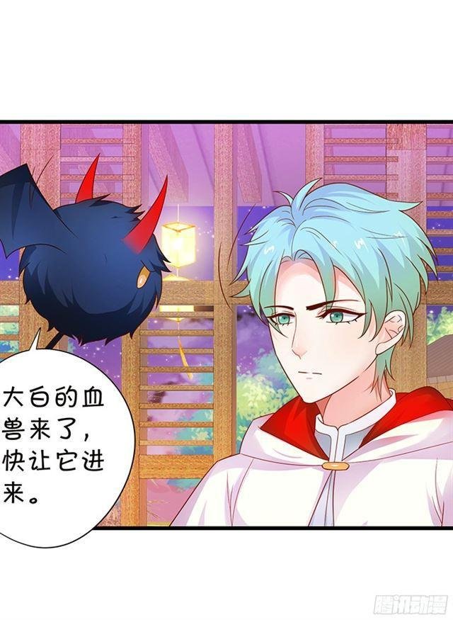 调查第四家族的秘密！