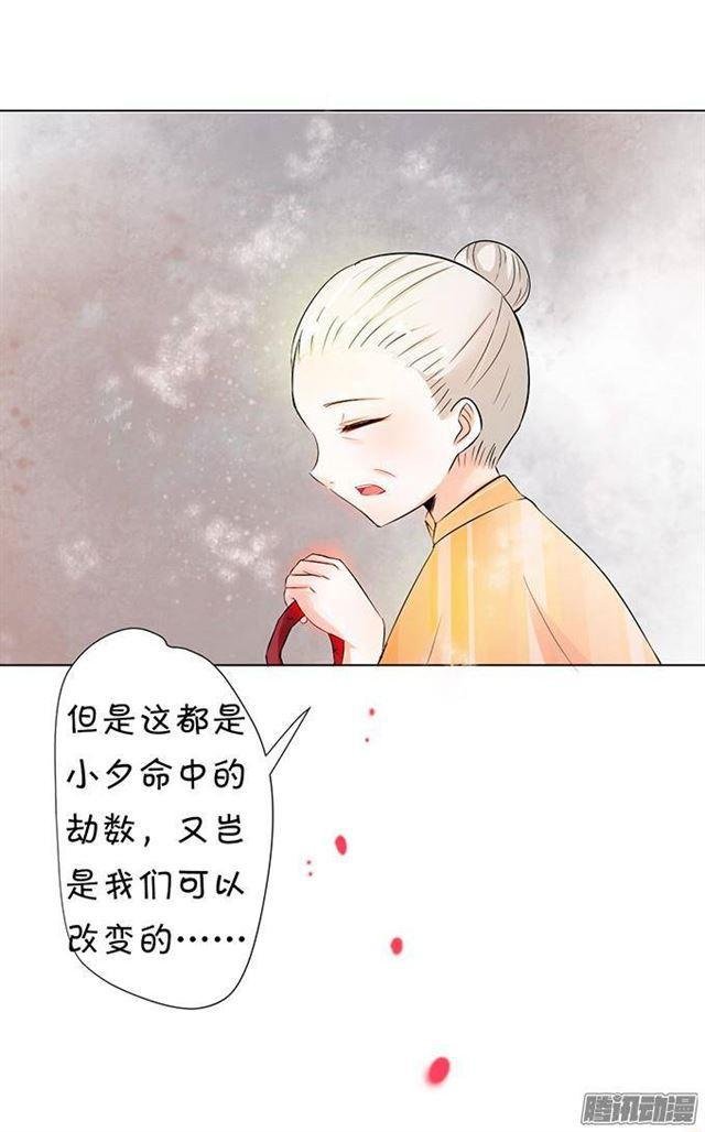 小夕的舌尖血