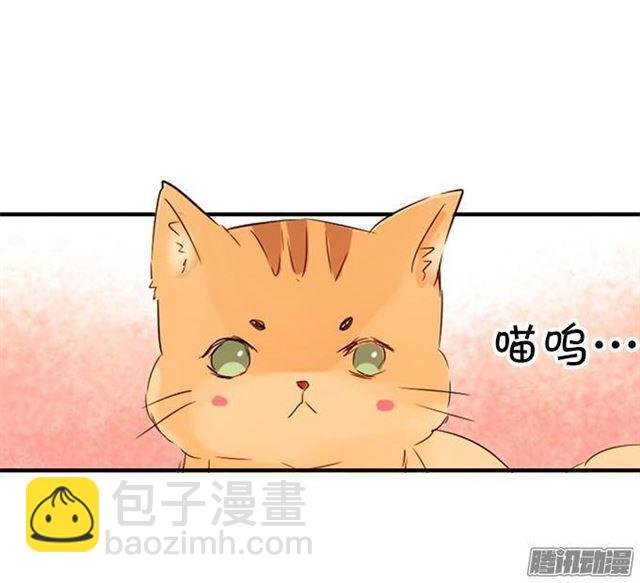 不速之客