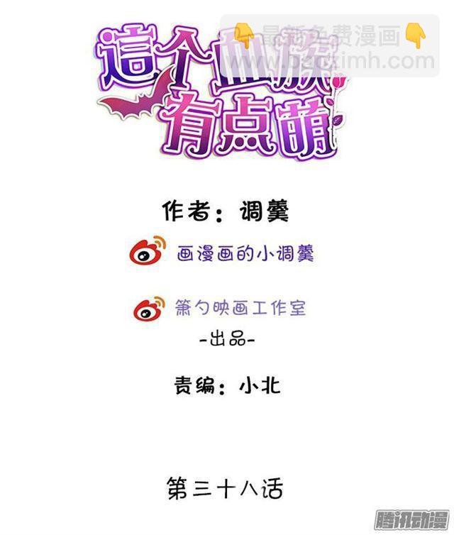 大白的过去