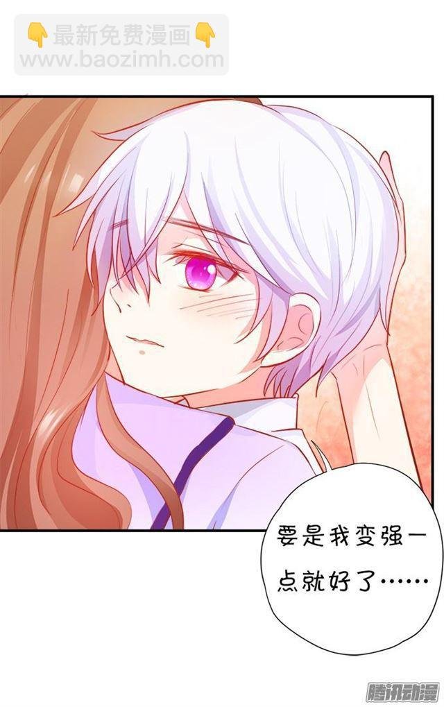 大白的过去
