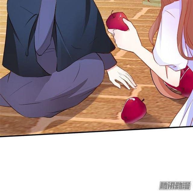 大白的过去