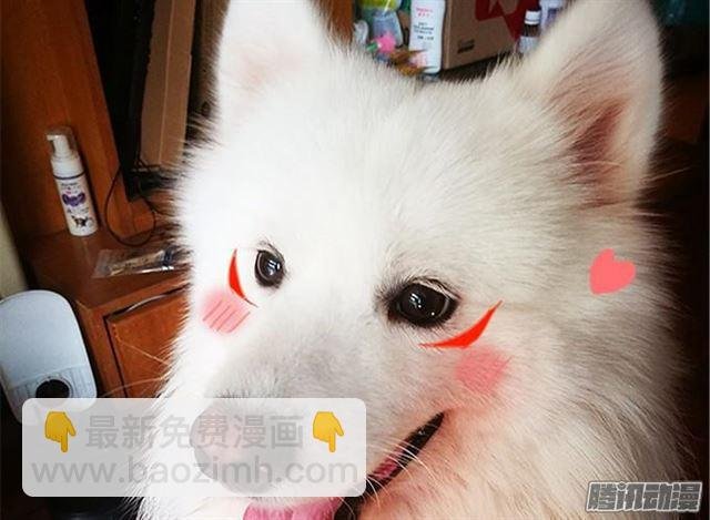 烟花下我想对你说…