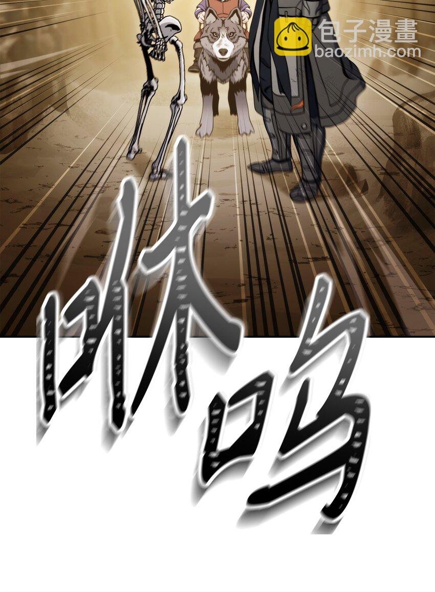 223 诺佩尔与蝙蝠
