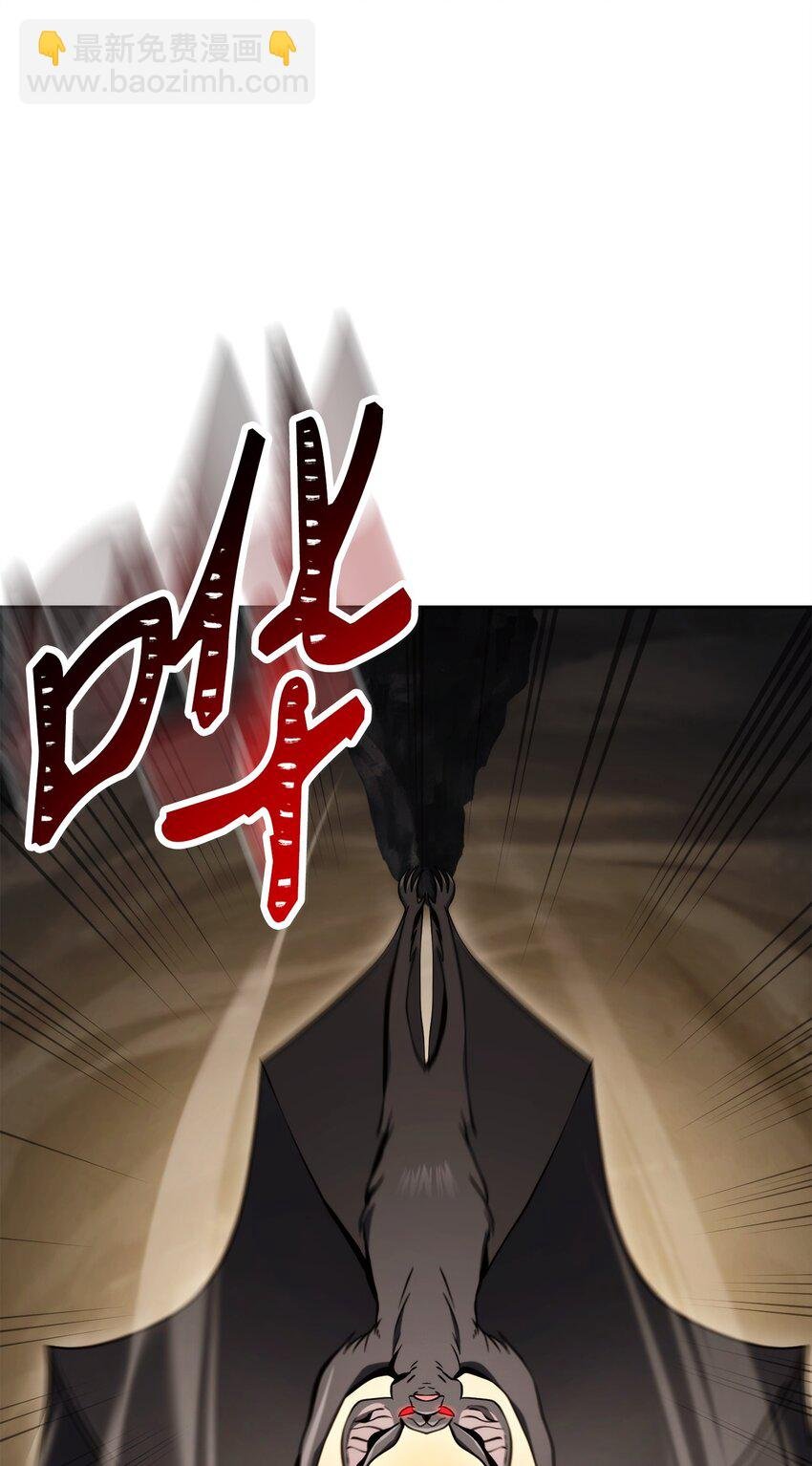 223 诺佩尔与蝙蝠