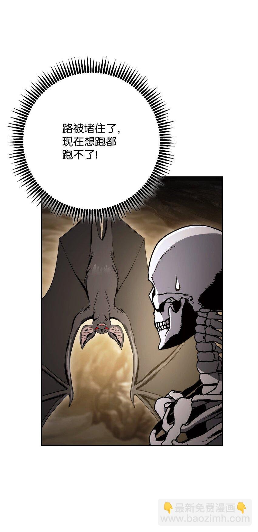 223 诺佩尔与蝙蝠