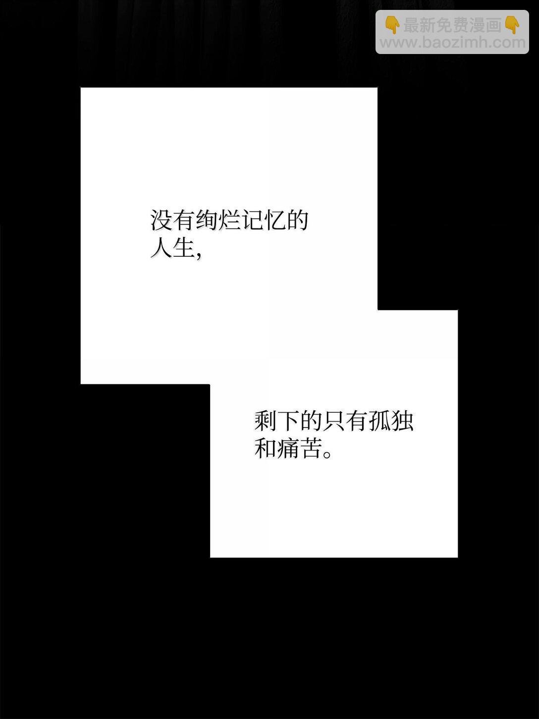 293 玩具