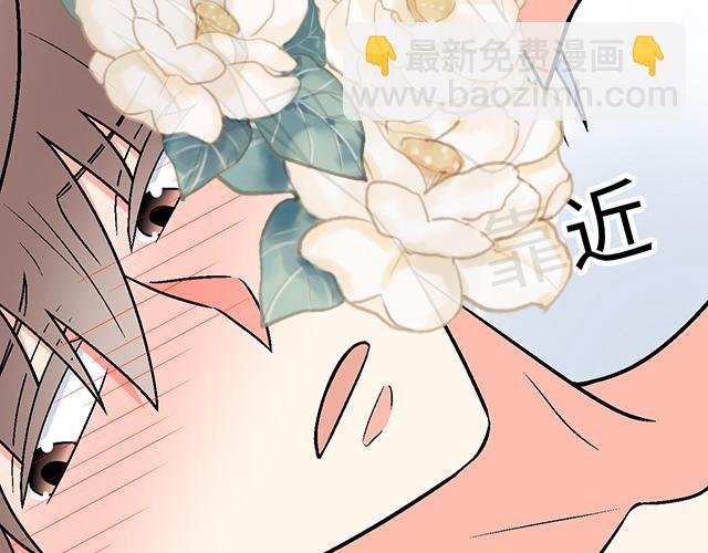 #34 有情人终成眷属