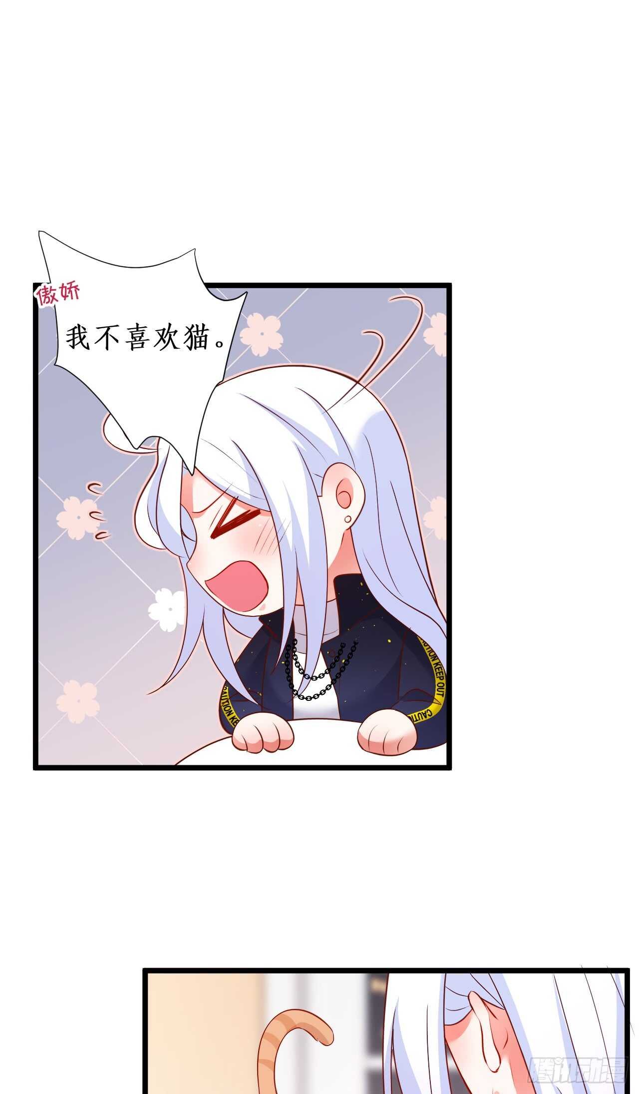 小猫咪，发现你了~