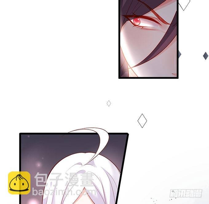 你不配跟白绯比！