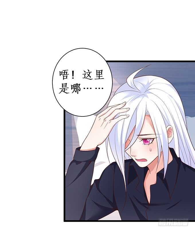 凌夜，振作起来！