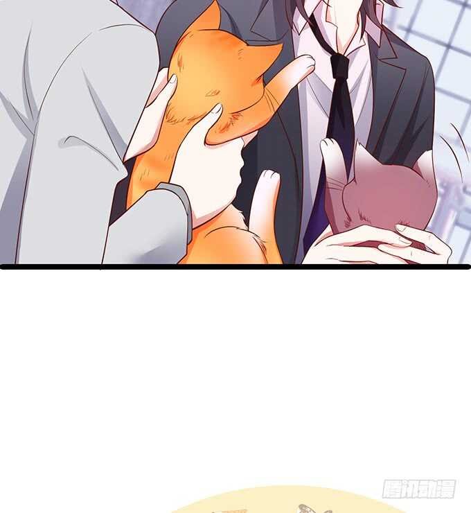 最后的温存……