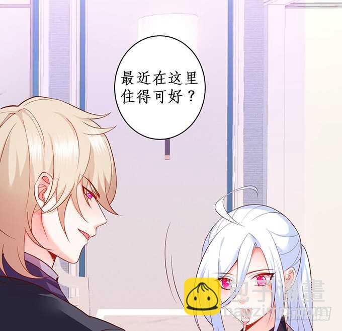 凌先生，放开我！