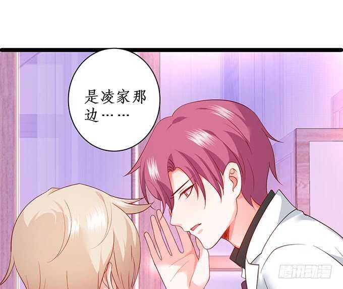 凌先生，放开我！