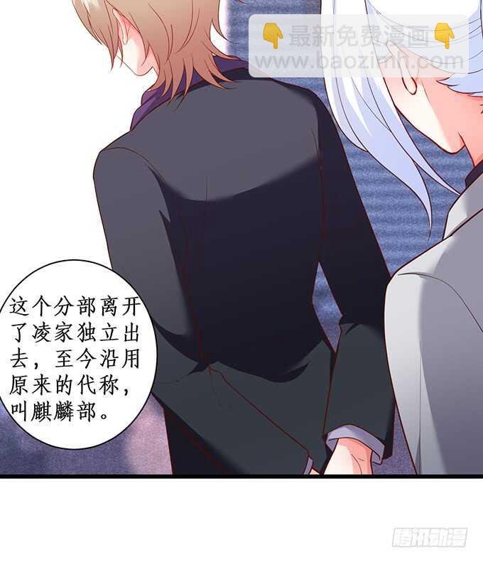 凌先生，放开我！