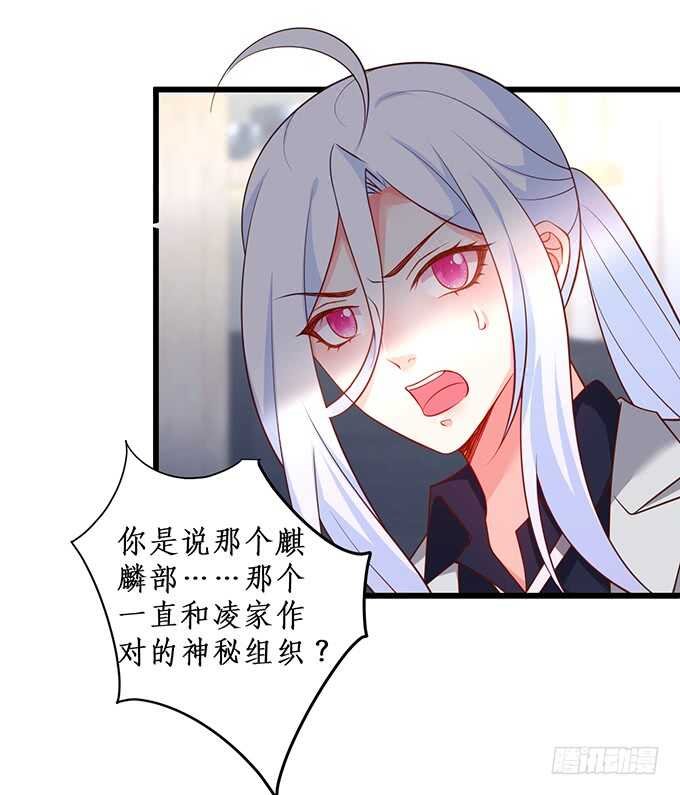 凌先生，放开我！