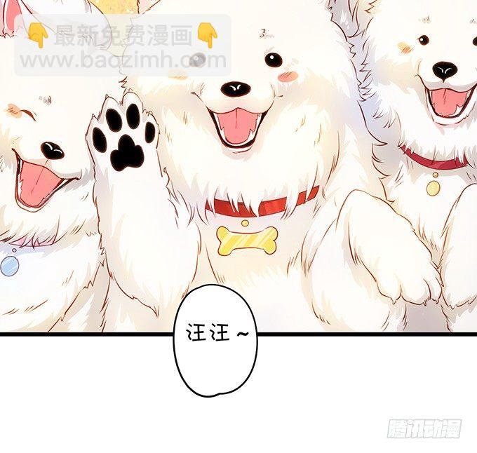 二人的冰岛之旅~