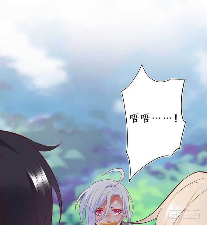 选择！