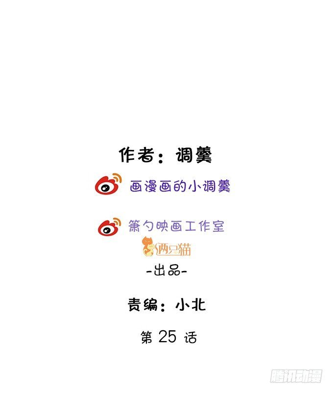 小猫咪，我们又见面了~