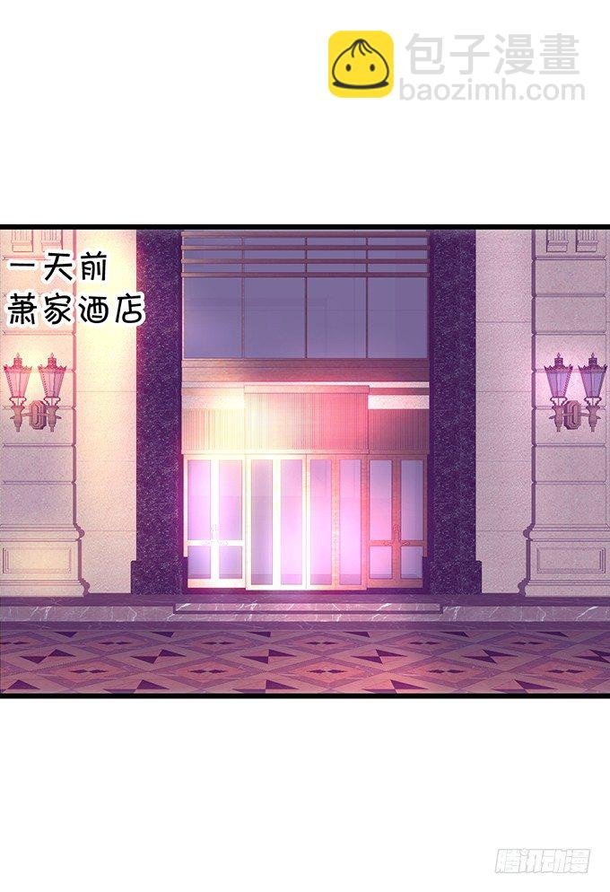 小猫咪，我们又见面了~
