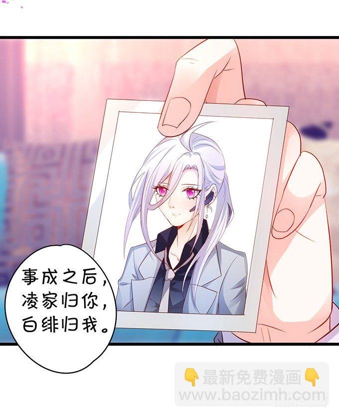 小猫咪，我们又见面了~