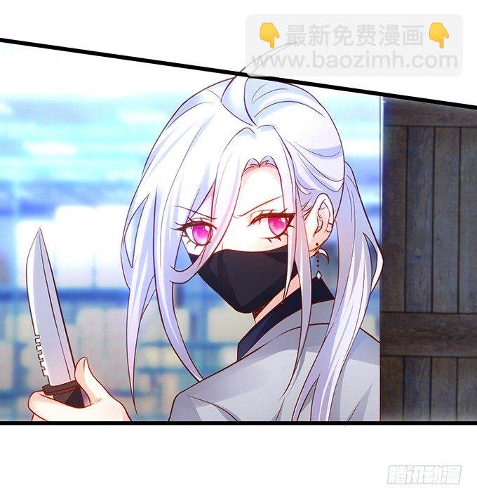 小猫咪，我们又见面了~