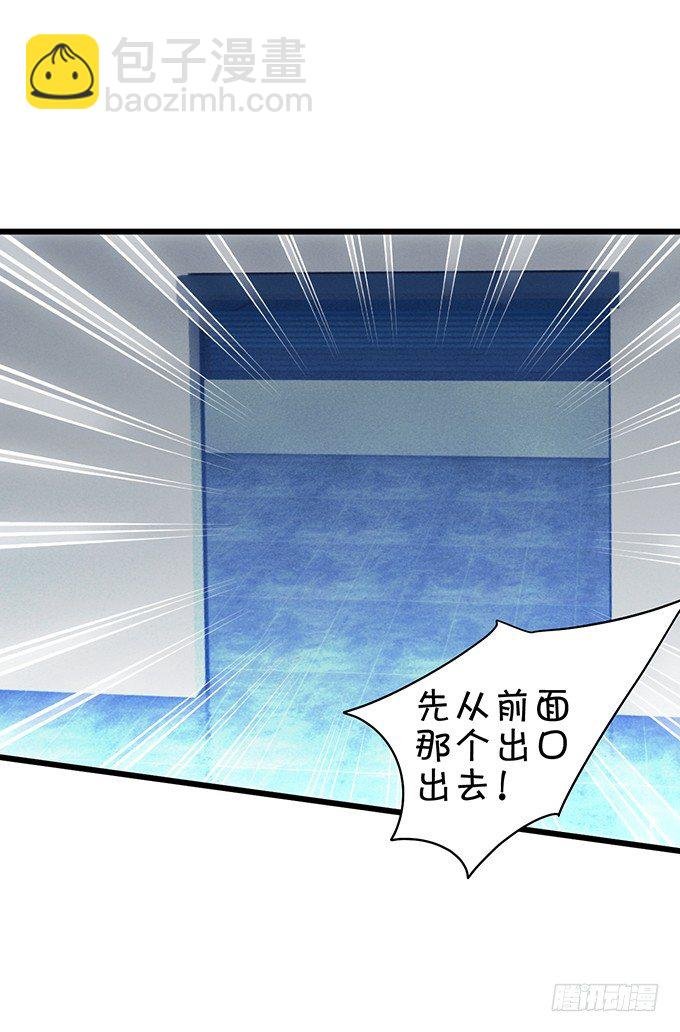 小猫咪，我们又见面了~