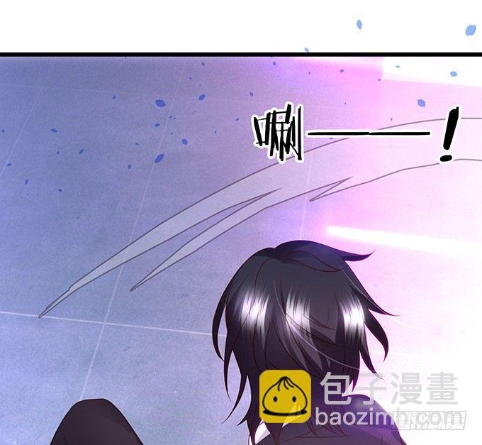 小猫咪，我们又见面了~