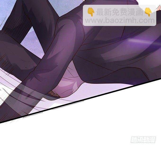 小猫咪，我们又见面了~